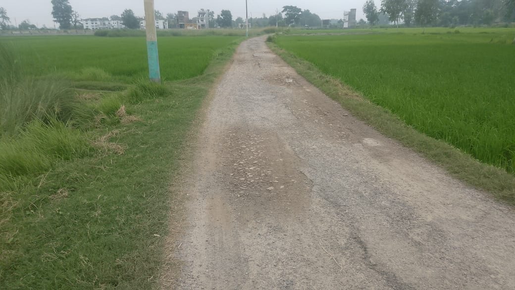 घोसी का प्राचीन पौराणिक नरोखर पोखरा।संवाद घोसी का प्राचीन पौराणिक नरोखर पोखरा।संवाद