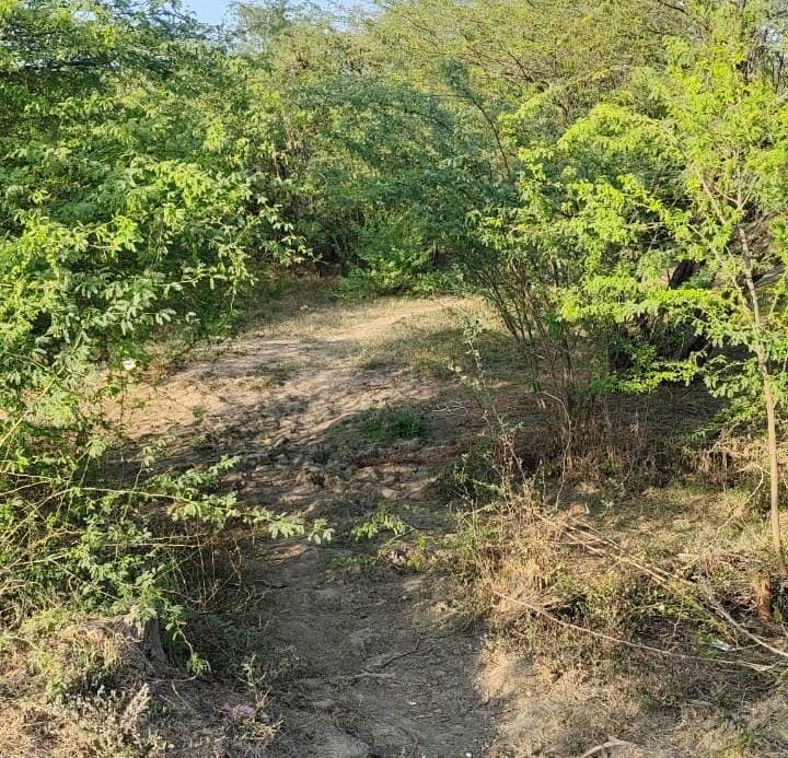 फोटो - 21 मृतक वीर सिंह की फाइल फोटो।