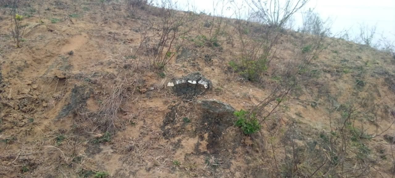 गांव की पहाड़ी मे मिला हजारों साल पहले जीवास्म 