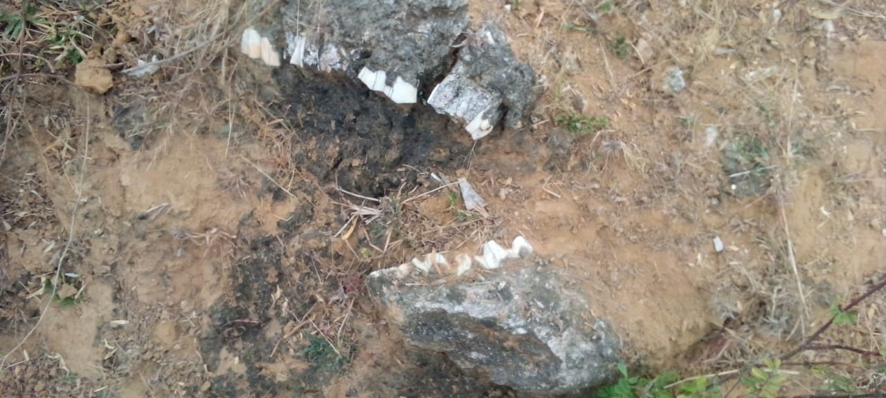 गांव की पहाड़ी मे मिला हजारों साल पहले जीवास्म गांव की पहाड़ी मे मिला हजारों साल पहले जीवास्म