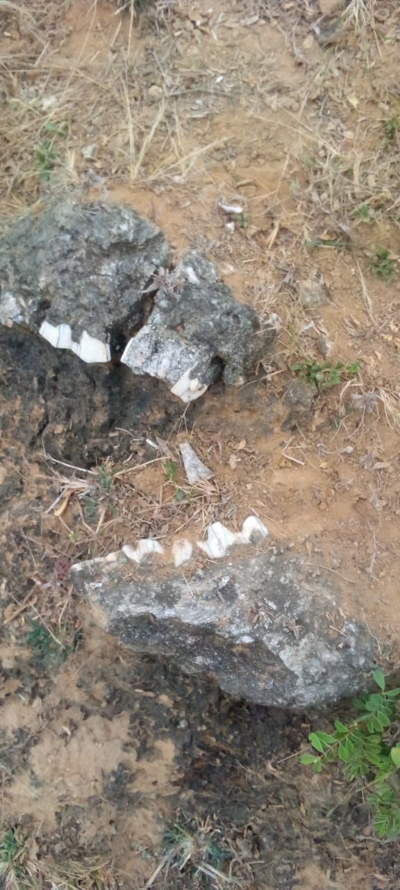 गांव की पहाड़ी मे मिला हजारों साल पहले जीवास्म 