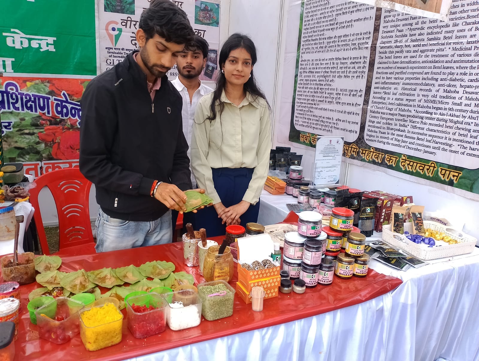एक ही पौधे में बैंगन और टमाटर, छिक्कल समेत खाइए हरी मटर
