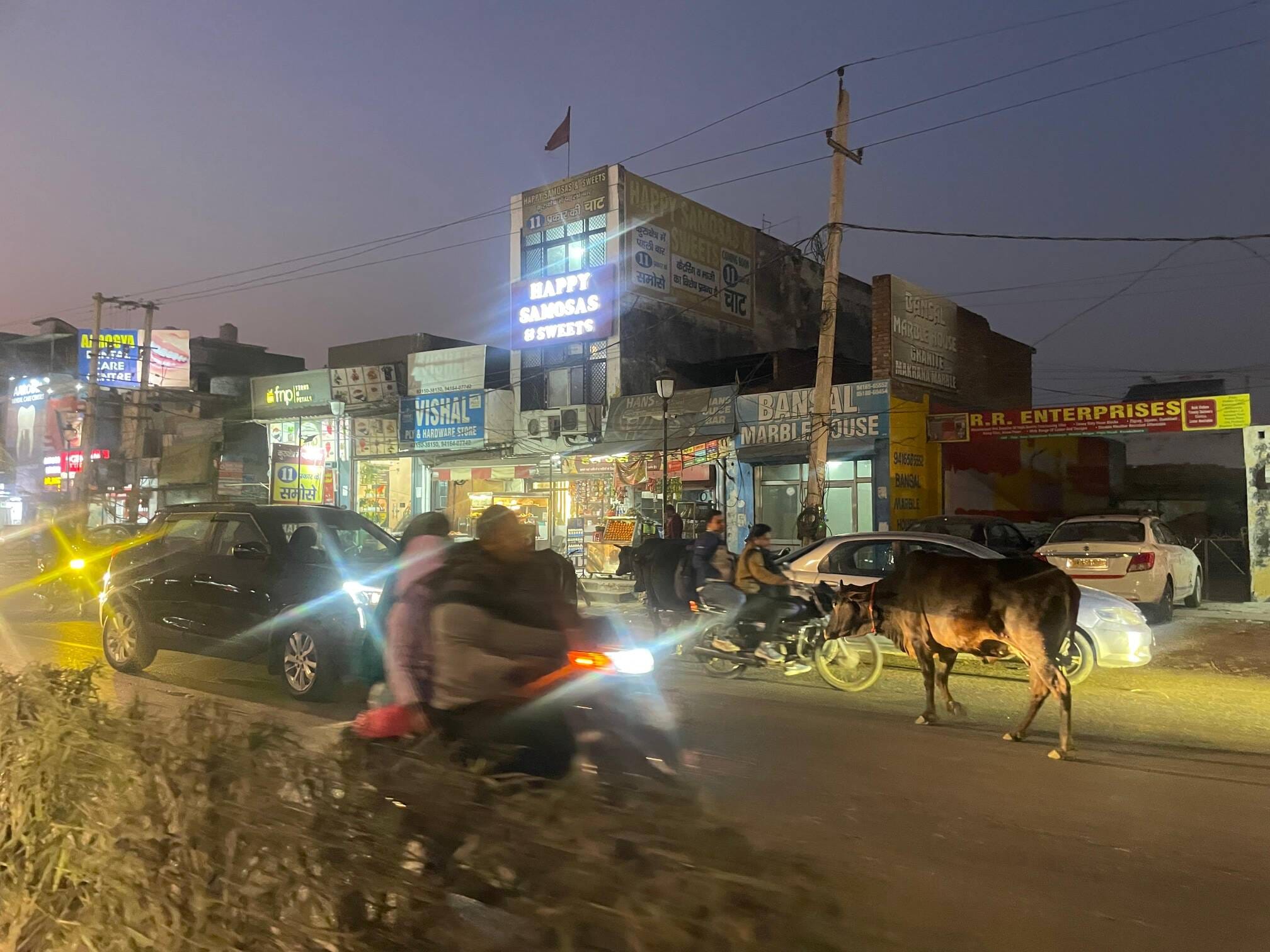कुरुक्षेत्र। मोहन नगर चौक पर रात को   घूमते बेसहारा गोवंश। संवाद