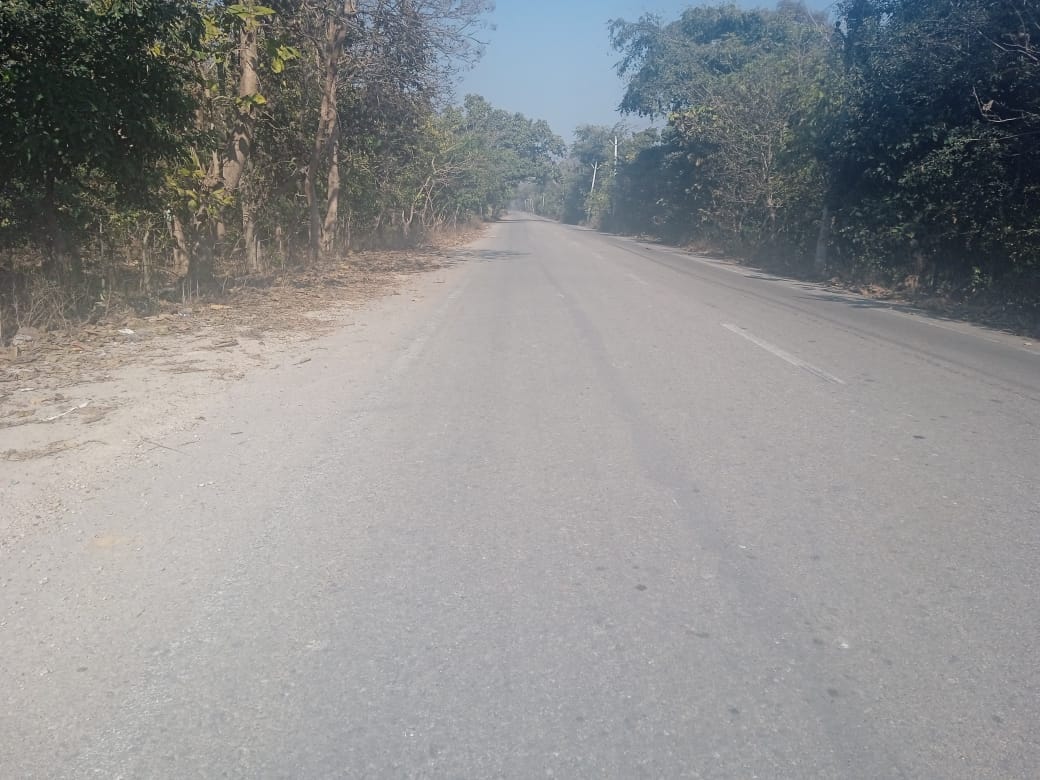 मोहंड मार्ग पर वन विभाग द्वारा यात्रियों से पूछताछ के लिए बनाई गई पिकेट। संवाद