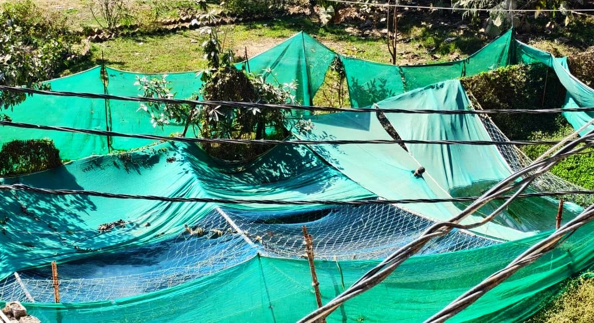 नाली में गिरता डायलिसिस विंग का पानी।  संवाद