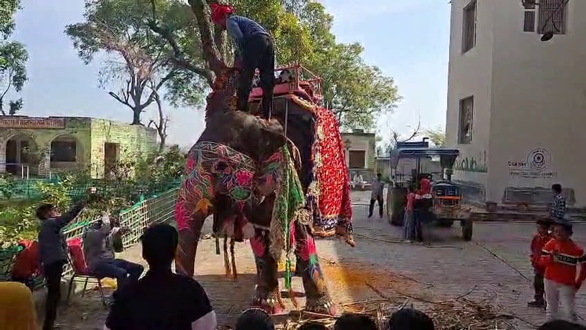 नन्ही कामाक्षी, गांव महलाना में जिसका नामकरण संस्कार समारोह एक ऐतिहासिक यादगार बन गया। संवाद नन्ही कामाक्षी, गांव महलाना में जिसका नामकरण संस्कार समारोह एक ऐतिहासिक यादगार बन गया। संवाद