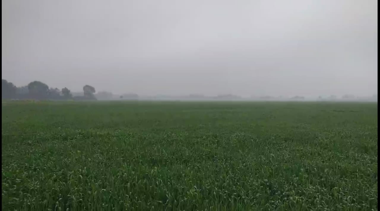 अजय सिंह, किसान