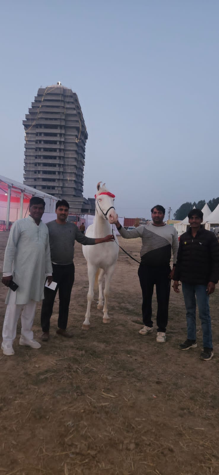फोटो संख्या:-62 कुरुक्षेत्र में पशुधन प्रदर्शनी में मुर्राह ड्राई कटैगरी में विजेता रही राधारान फोटो संख्या:-62 कुरुक्षेत्र में पशुधन प्रदर्शनी में मुर्राह ड्राई कटैगरी में विजेता रही राधारान