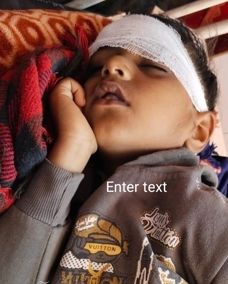 घायल रोबिन। संवाद