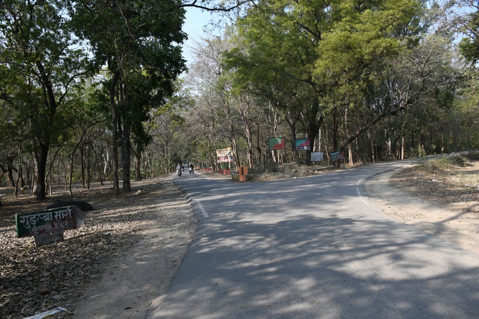 कुकरैल क्षेत्र में नाइट सफारी बनाया जाना है। कुकरैल क्षेत्र में नाइट सफारी बनाया जाना है।