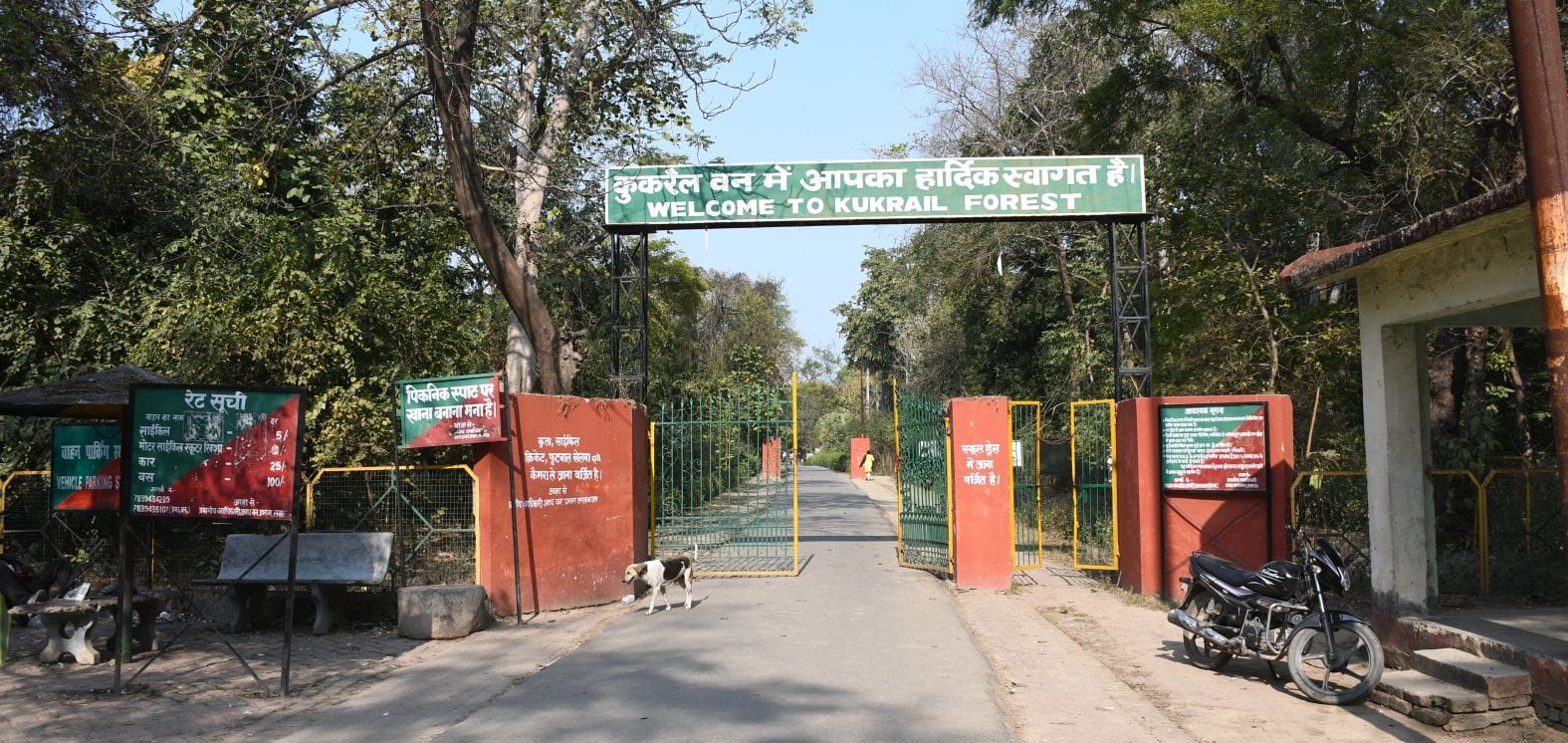 कुकरैल क्षेत्र में नाइट सफारी बनाया जाना है। कुकरैल क्षेत्र में नाइट सफारी बनाया जाना है।