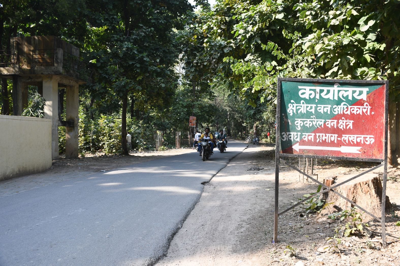 कुकरैल क्षेत्र में नाइट सफारी बनाया जाना है। कुकरैल क्षेत्र में नाइट सफारी बनाया जाना है।