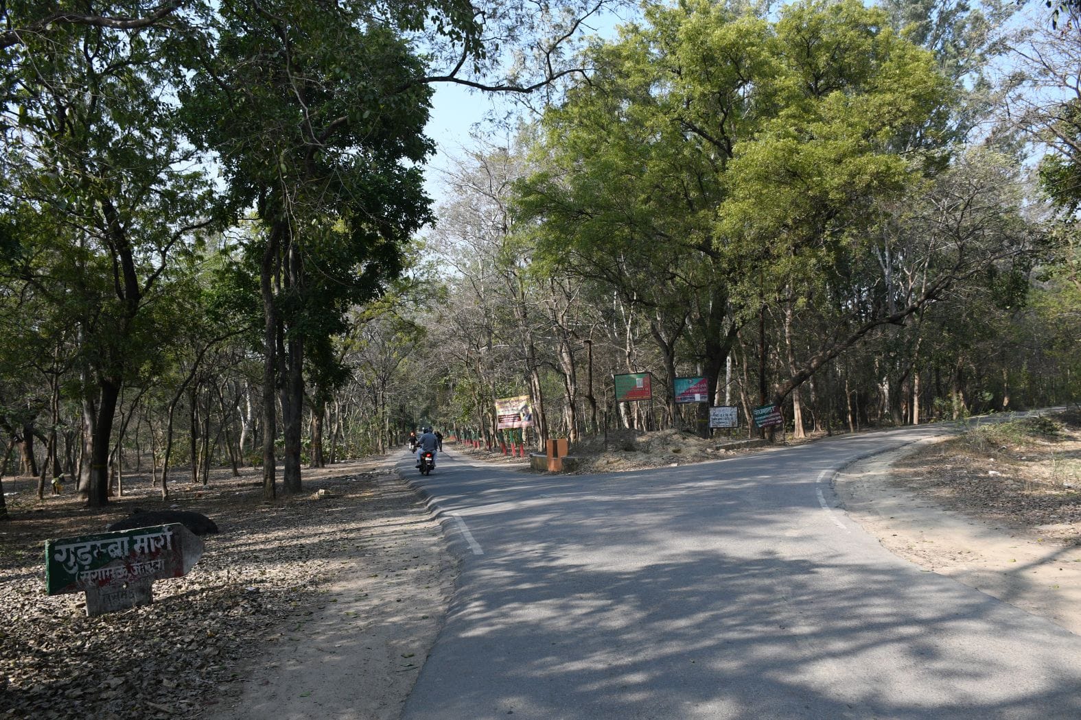 कुकरैल क्षेत्र में नाइट सफारी बनाया जाना है। कुकरैल क्षेत्र में नाइट सफारी बनाया जाना है।