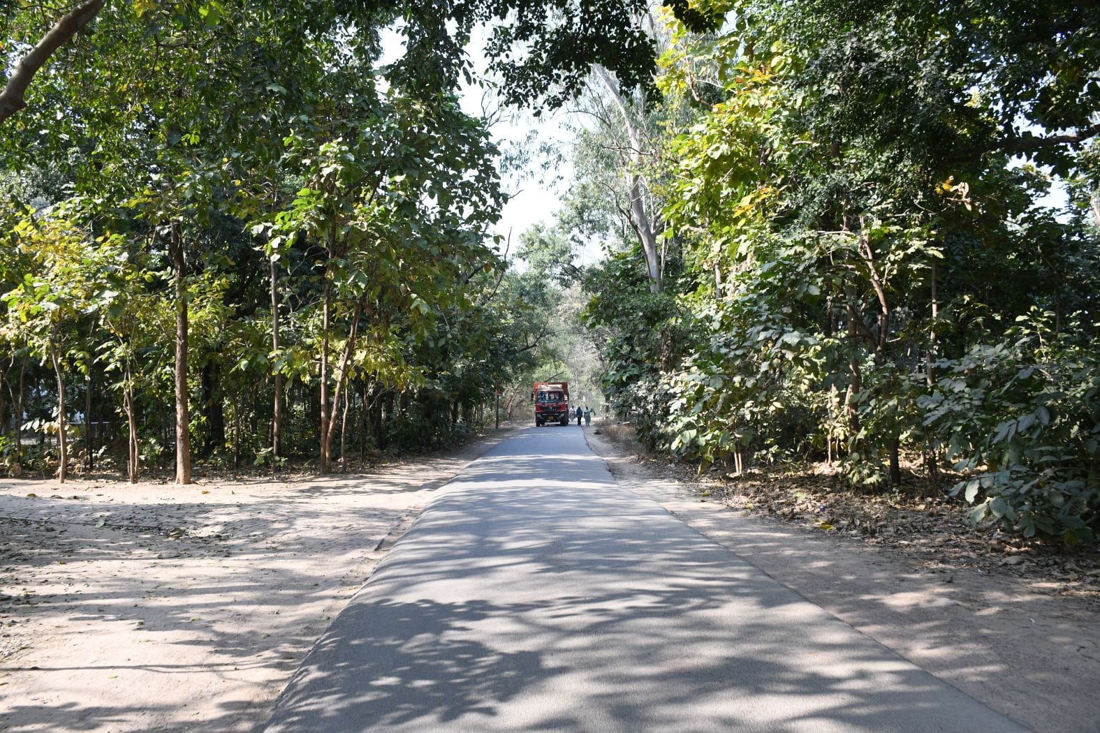 कुकरैल क्षेत्र में नाइट सफारी बनाया जाना है। कुकरैल क्षेत्र में नाइट सफारी बनाया जाना है।