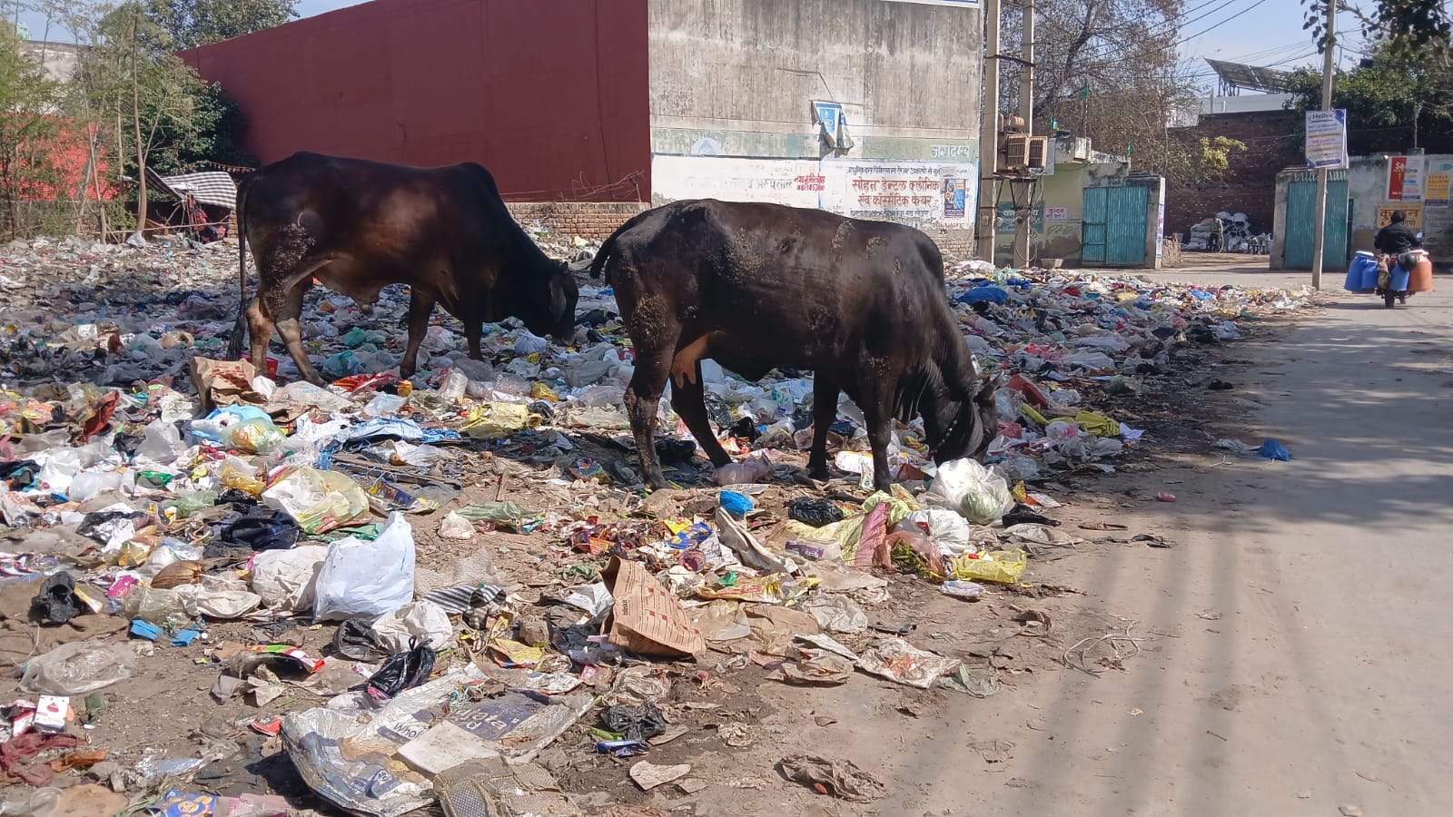 रेवाड़ी। वार्ड दो में झज्जर फ्लाईओवर के पास ओवरफ्लो सीवर। संवाद रेवाड़ी। वार्ड दो में झज्जर फ्लाईओवर के पास ओवरफ्लो सीवर। संवाद