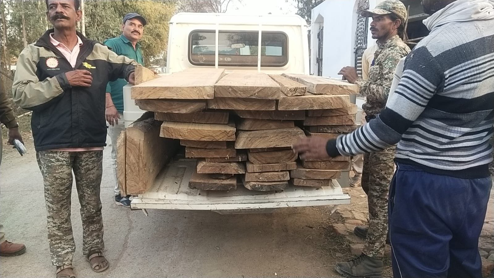 वनरक्षक के घर पन्ना टाइगर रिजर्व की दविश भारी मात्रा में अवैध सागौन की लकड़ी जप्त