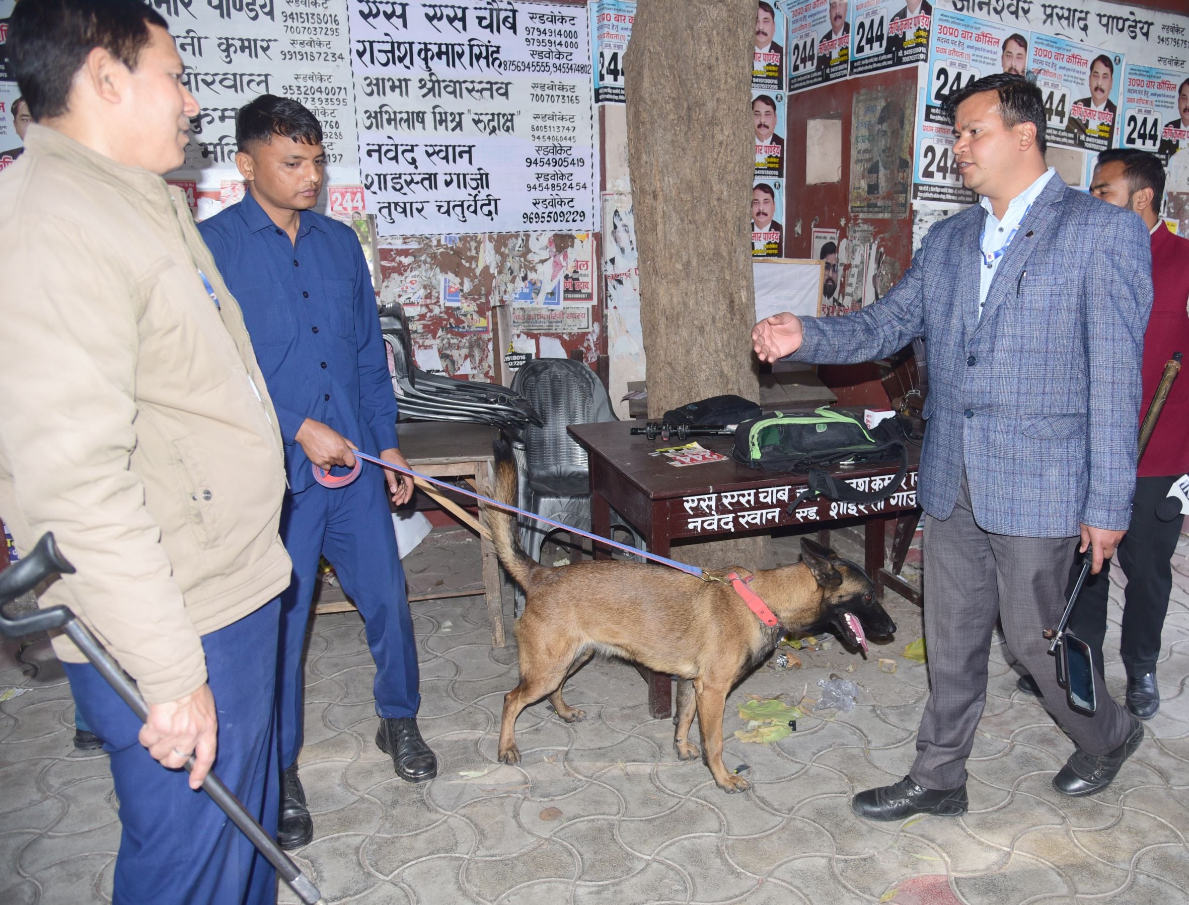धमकी के बाद कहचरी परिसर में जांच करते श्वान और बम निरोधक दस्ते के लोग। 