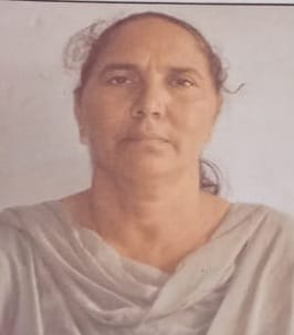 झंडूता विधानसभा क्षेत्र के कोटधार इलाके के भाखड़ा विस्थापित गांव। संवाद