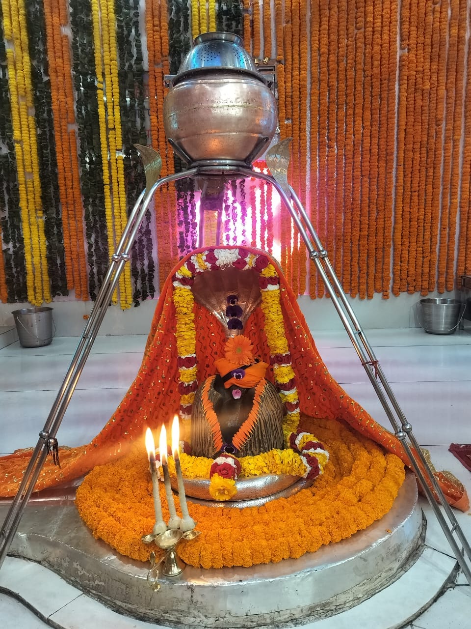 महाशिवरात्रि पर्व से पहले ही गसोता महादेव मंदिर में पहुंचे श्रद्धालु।  स्रोत : मंदिर कमेटी