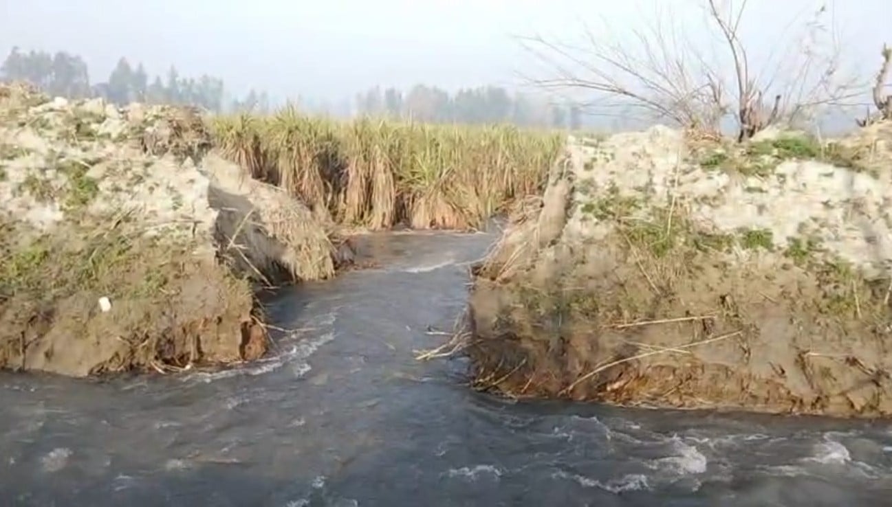 सरधना। गांव अटेरना में रजबहे की पटरी टूटने से फसलें हुई जलमग्न। ग्रामीण