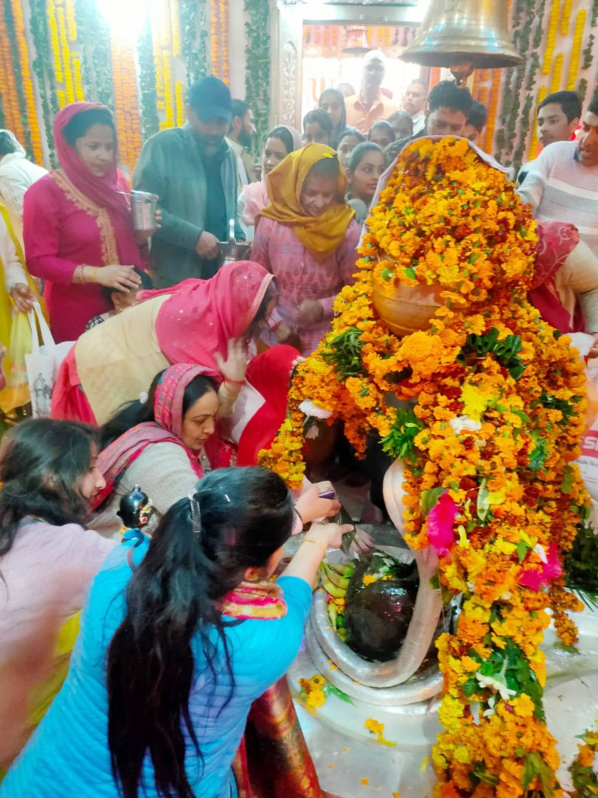 गसोत  महादेव मंदिर में शिवरात्रि पर्व पर उमड़ी श्रद्धालुओं की भीड़। स्ंवाद