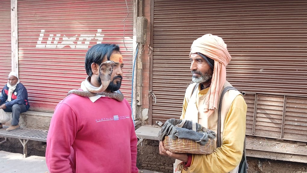 गले में नाग देवता...महादेव बने आगरा के कमलकांत