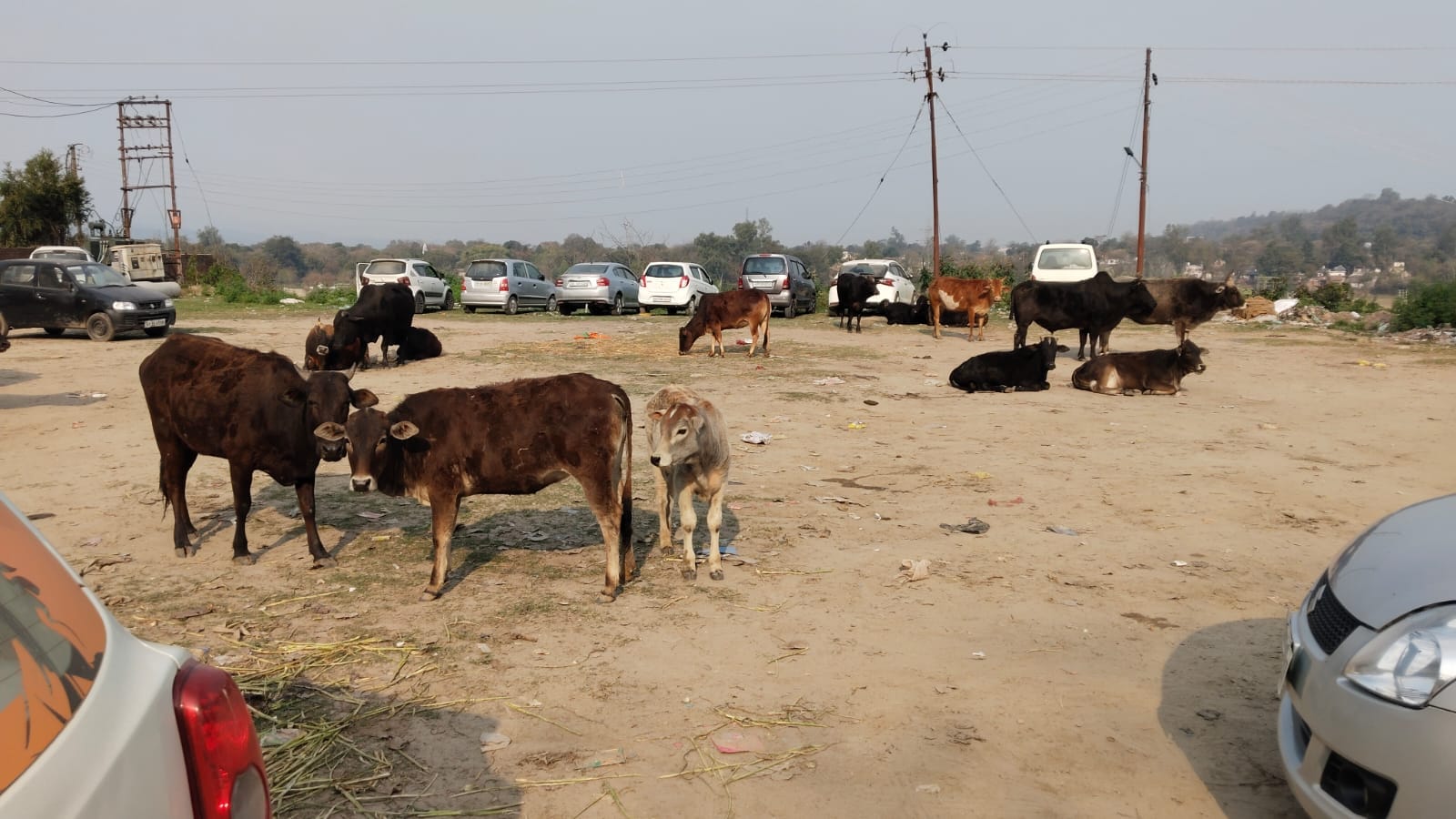 बिंटू बिंटू