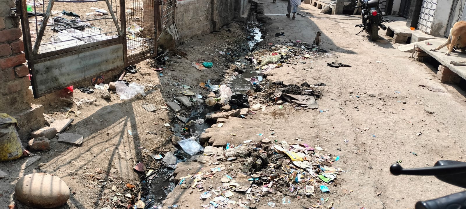 मोहम्मद हसनैन