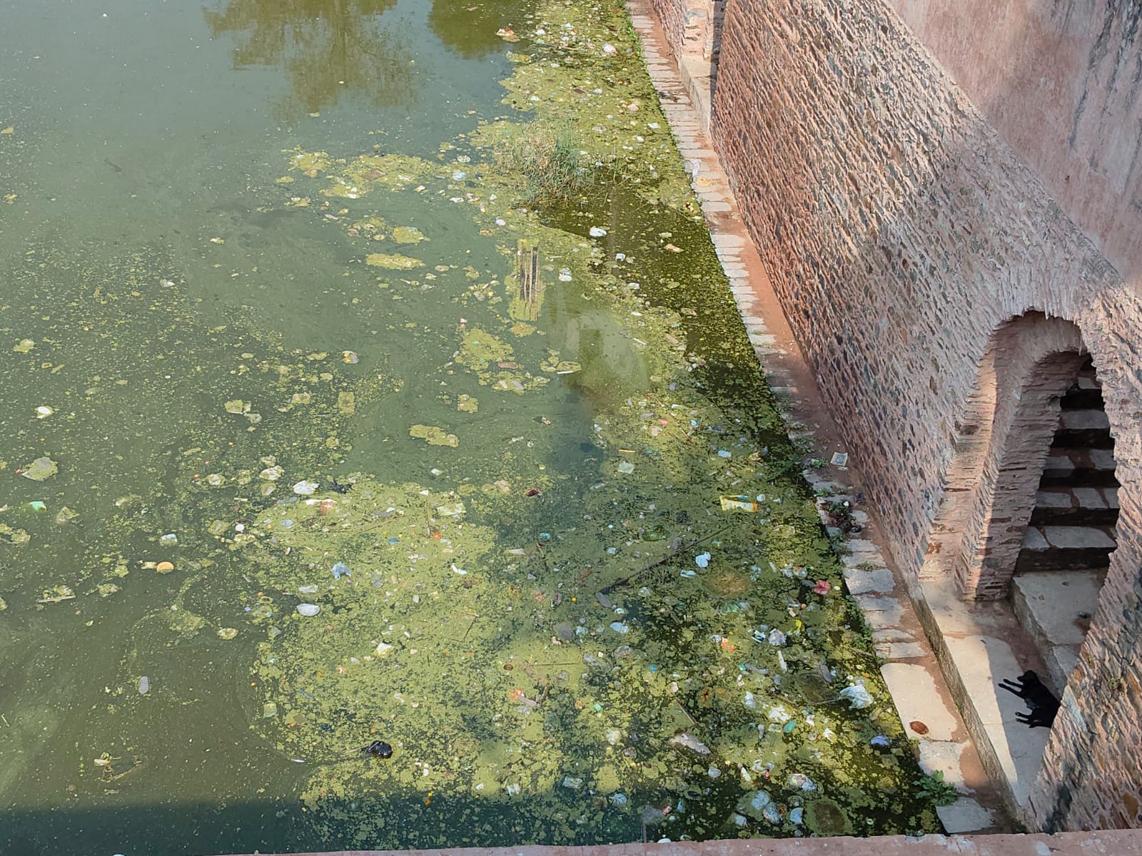 सोलहाराही तालाब परिसर में टूटा बेंच। संवाद सोलहाराही तालाब परिसर में टूटा बेंच। संवाद