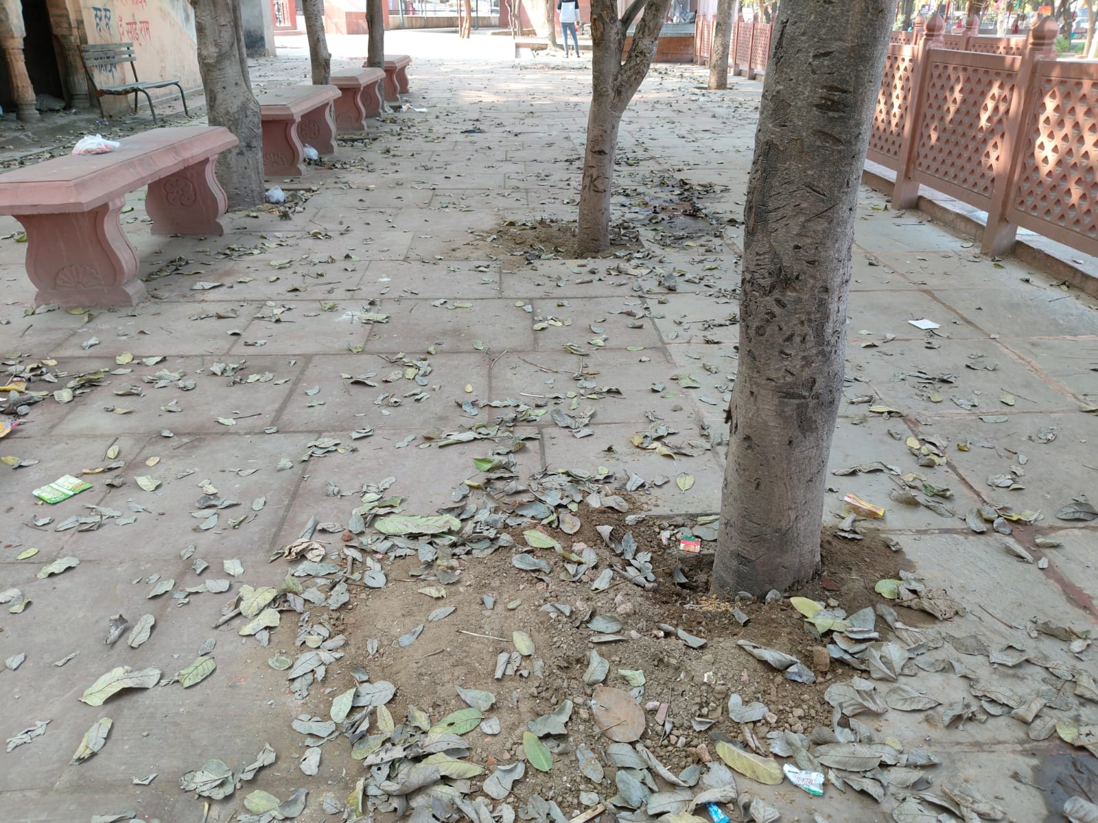 सोलहाराही तालाब परिसर में टूटा बेंच। संवाद सोलहाराही तालाब परिसर में टूटा बेंच। संवाद