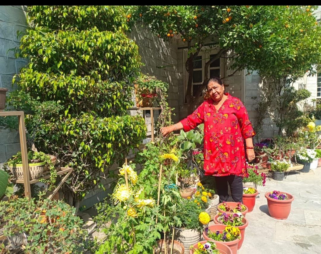 6-शहर के वर्धमान एंक्लेव में बनाई बगिया में देखभाल करती इन्नर व्हील क्लब की पूर्व प्रधान उमा शर 6-शहर के वर्धमान एंक्लेव में बनाई बगिया में देखभाल करती इन्नर व्हील क्लब की पूर्व प्रधान उमा शर
