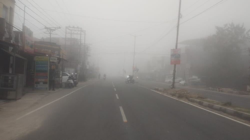घनी धुंध से ढका बड़ूही क्षेत्र।संवाद