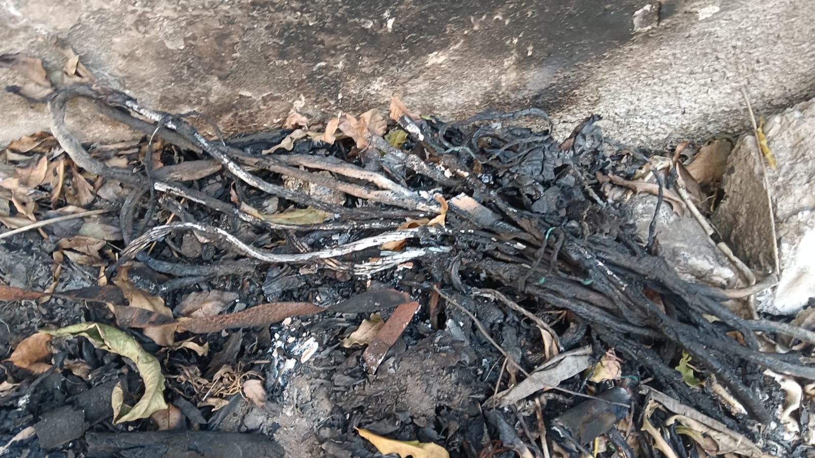 अंबाला कैंट की भगत सिंह मार्केट में लगे एसी के आउटडोर से कटे कॉपर के पाइप: संवाद अंबाला कैंट की भगत सिंह मार्केट में लगे एसी के आउटडोर से कटे कॉपर के पाइप: संवाद