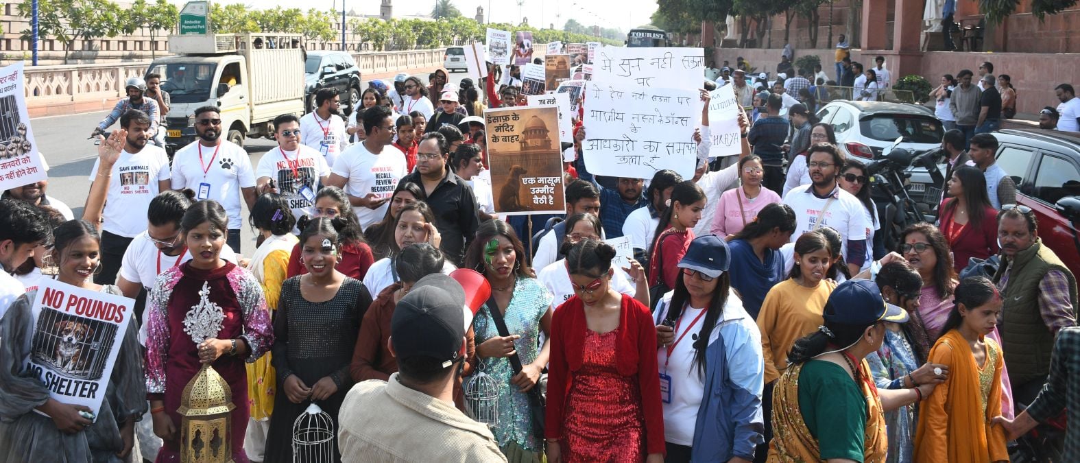 पिंजरा तोड़ रैली में उठी बेजुबानों के लिए आवाज पिंजरा तोड़ रैली में उठी बेजुबानों के लिए आवाज