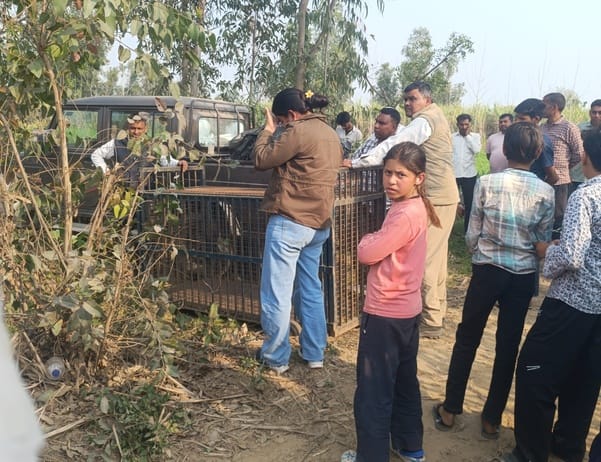 बास्टा क्षेत्र के गांव अहरौला के जंगल में कुएं में तेंदुए के शावक बास्टा क्षेत्र के गांव अहरौला के जंगल में कुएं में तेंदुए के शावक