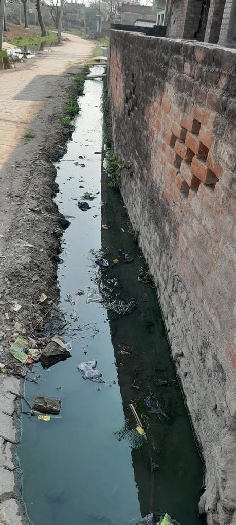 सिराथू कस्बे में लगा कूड़े का ढेर। संवाद सिराथू कस्बे में लगा कूड़े का ढेर। संवाद