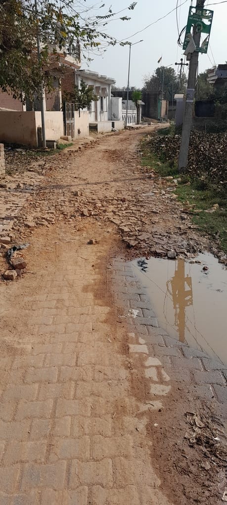 सिराथू कस्बे में लगा कूड़े का ढेर। संवाद सिराथू कस्बे में लगा कूड़े का ढेर। संवाद