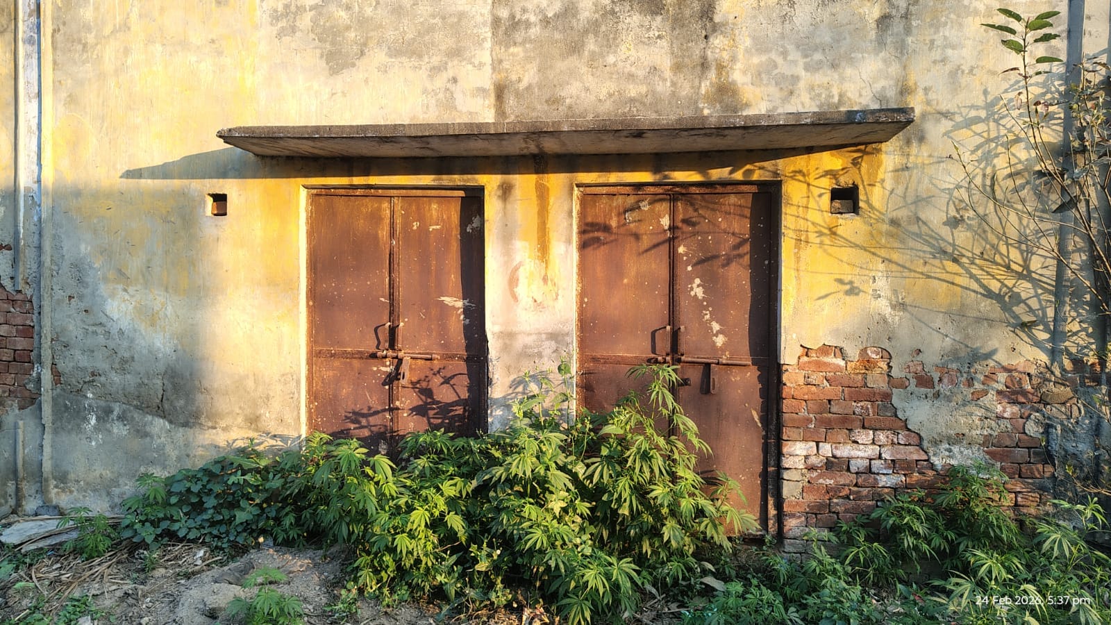 मुजफ्फरनगर दंगे के बाद से वीरान गांव कुटबा की मस्जिद : संवाद मुजफ्फरनगर दंगे के बाद से वीरान गांव कुटबा की मस्जिद : संवाद