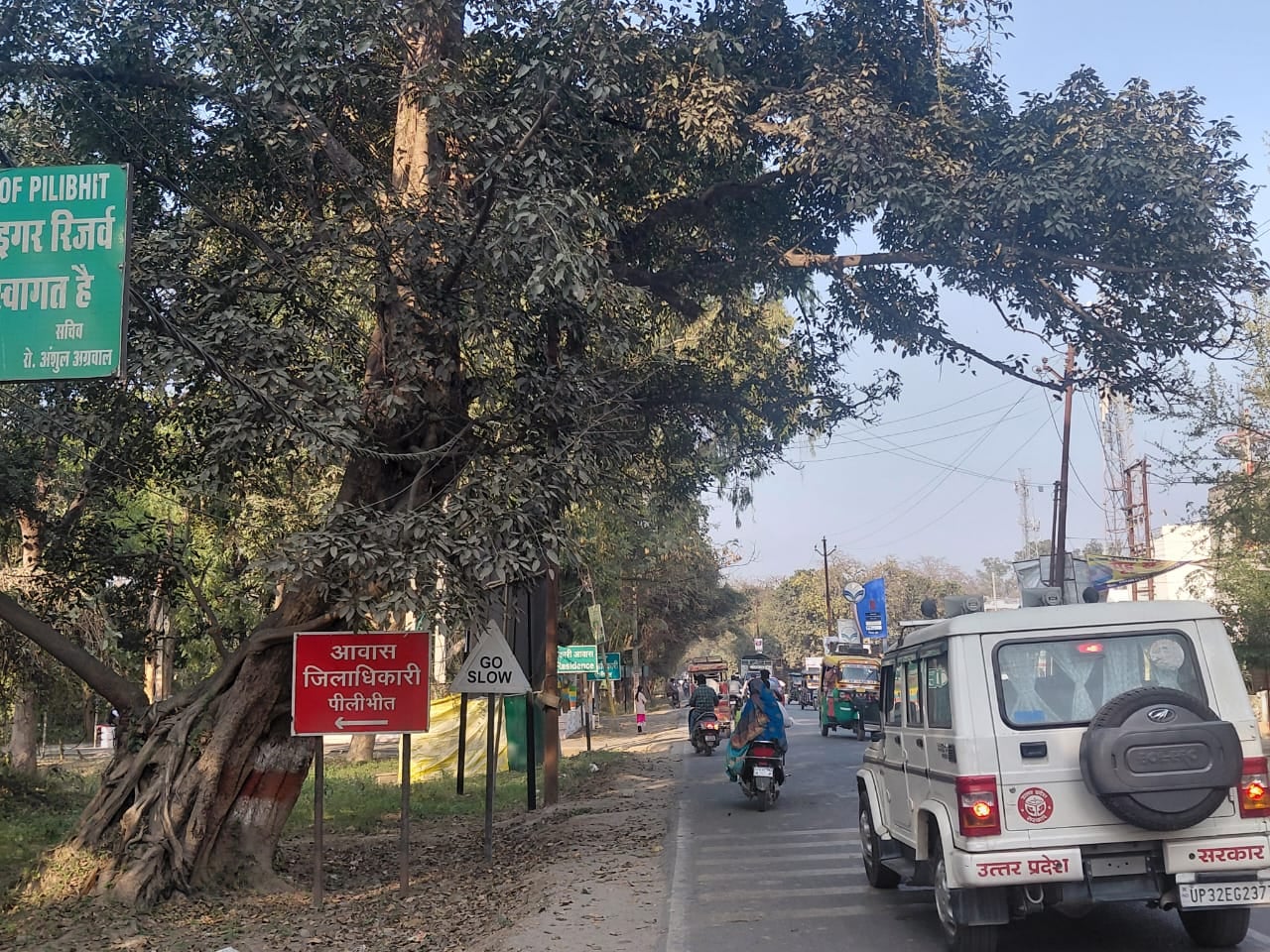 गन्ना विभाग के कार्यालय के लगा पेड़ सड़क की ओर झु़क गया। संवाद गन्ना विभाग के कार्यालय के लगा पेड़ सड़क की ओर झु़क गया। संवाद