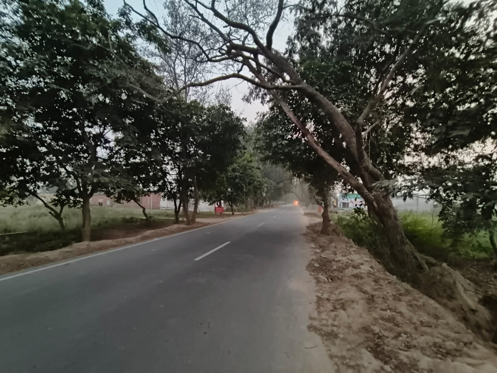 गन्ना विभाग के कार्यालय के लगा पेड़ सड़क की ओर झु़क गया। संवाद गन्ना विभाग के कार्यालय के लगा पेड़ सड़क की ओर झु़क गया। संवाद