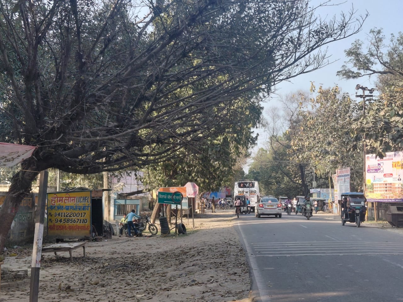 गन्ना विभाग के कार्यालय के लगा पेड़ सड़क की ओर झु़क गया। संवाद गन्ना विभाग के कार्यालय के लगा पेड़ सड़क की ओर झु़क गया। संवाद