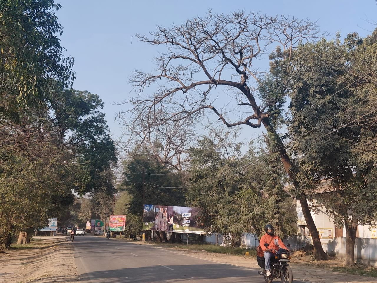 गन्ना विभाग के कार्यालय के लगा पेड़ सड़क की ओर झु़क गया। संवाद गन्ना विभाग के कार्यालय के लगा पेड़ सड़क की ओर झु़क गया। संवाद