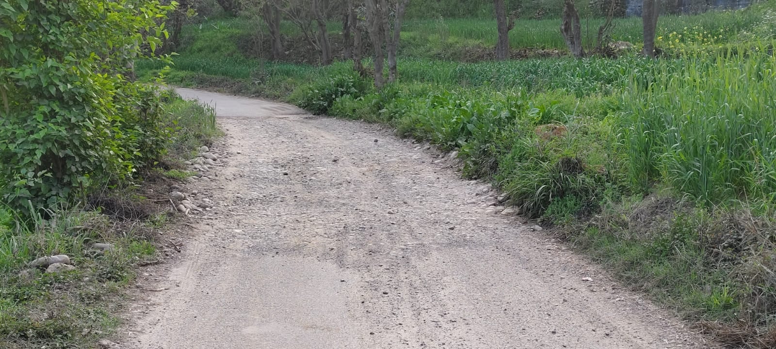 जोल से सलौणी सड़क पर ब्याड़ के पास बने गड्ढे और बिखरी बजरी। संवाद