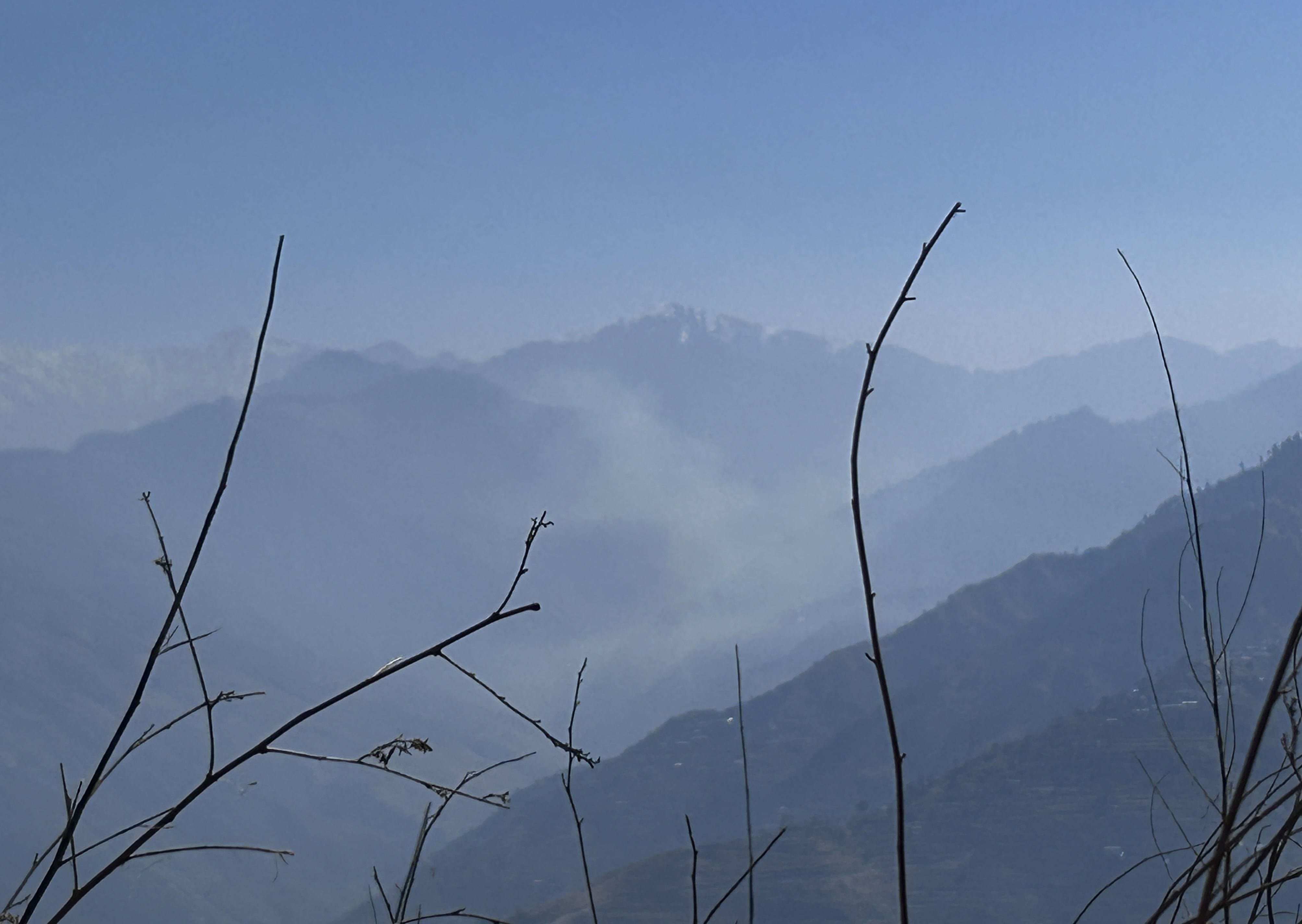 नित्थर के मोड़ीनाल जंगल में लगी आग से वन संपदा को पहुंचा नुकसान। संवाद