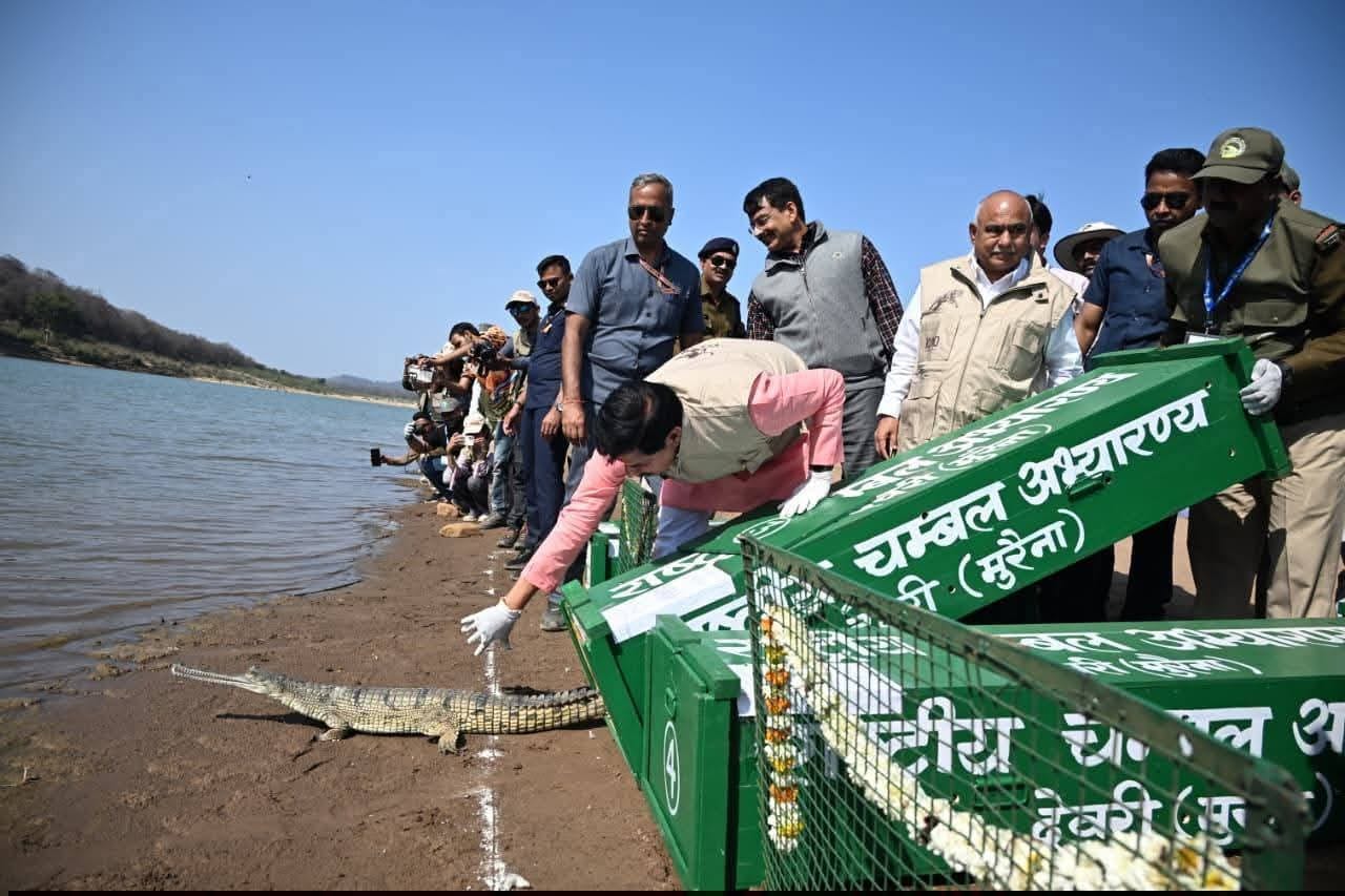 श्योपुर कूनो में पहुंचे सीएम मोहन यादव