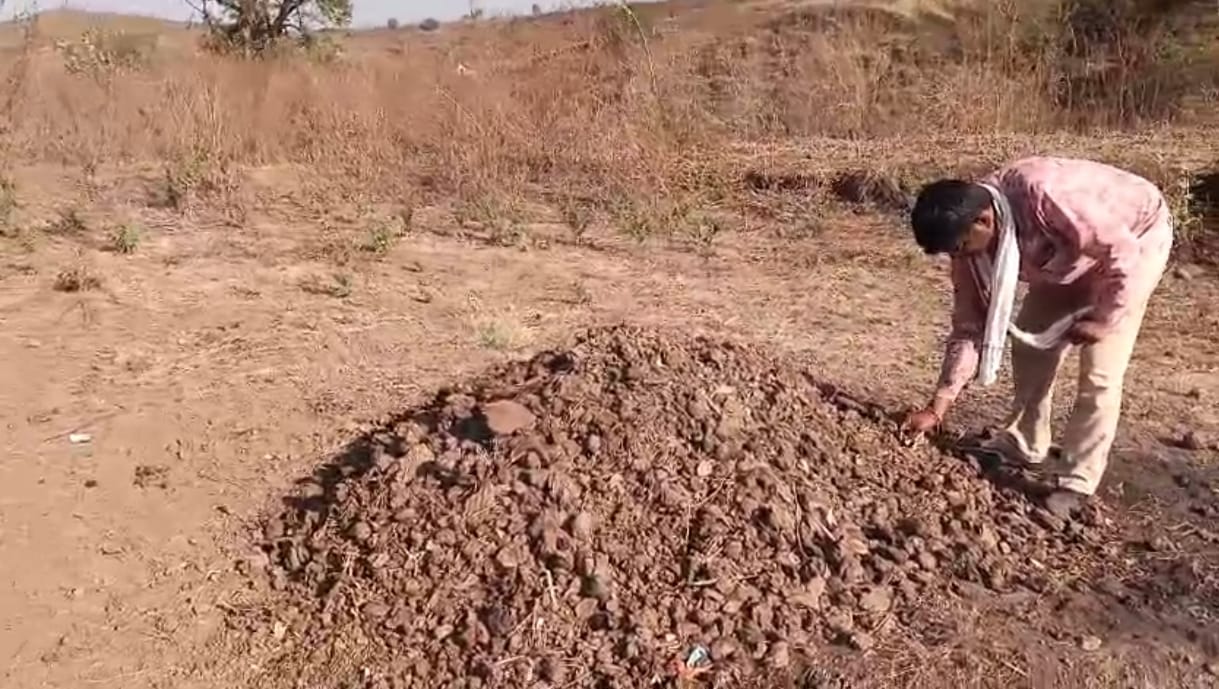 जहां आस्था के साथ जुड़ा है प्रकृति संरक्षण — झांझर में आज भी बिना लकड़ी के होती है होलिका दहन क