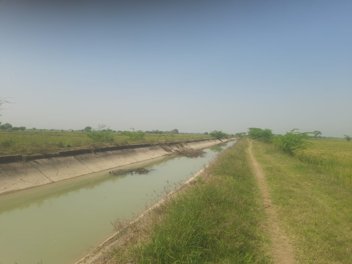 फोटो-25-तरसौर रजवाहे पर किसानों के साथ नहर विभाग के अधिकारी। स्रोत-ग्रामीण फोटो-25-तरसौर रजवाहे पर किसानों के साथ नहर विभाग के अधिकारी। स्रोत-ग्रामीण