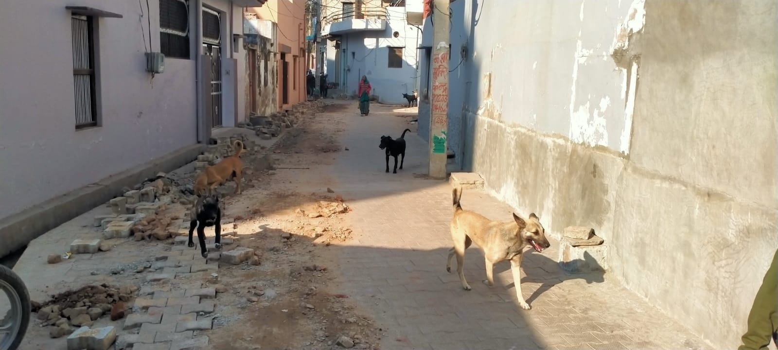 फोटो संख्या:60- योगेश, वार्ड नंबर पांच, मोहल्ला, नीमडी नीचे