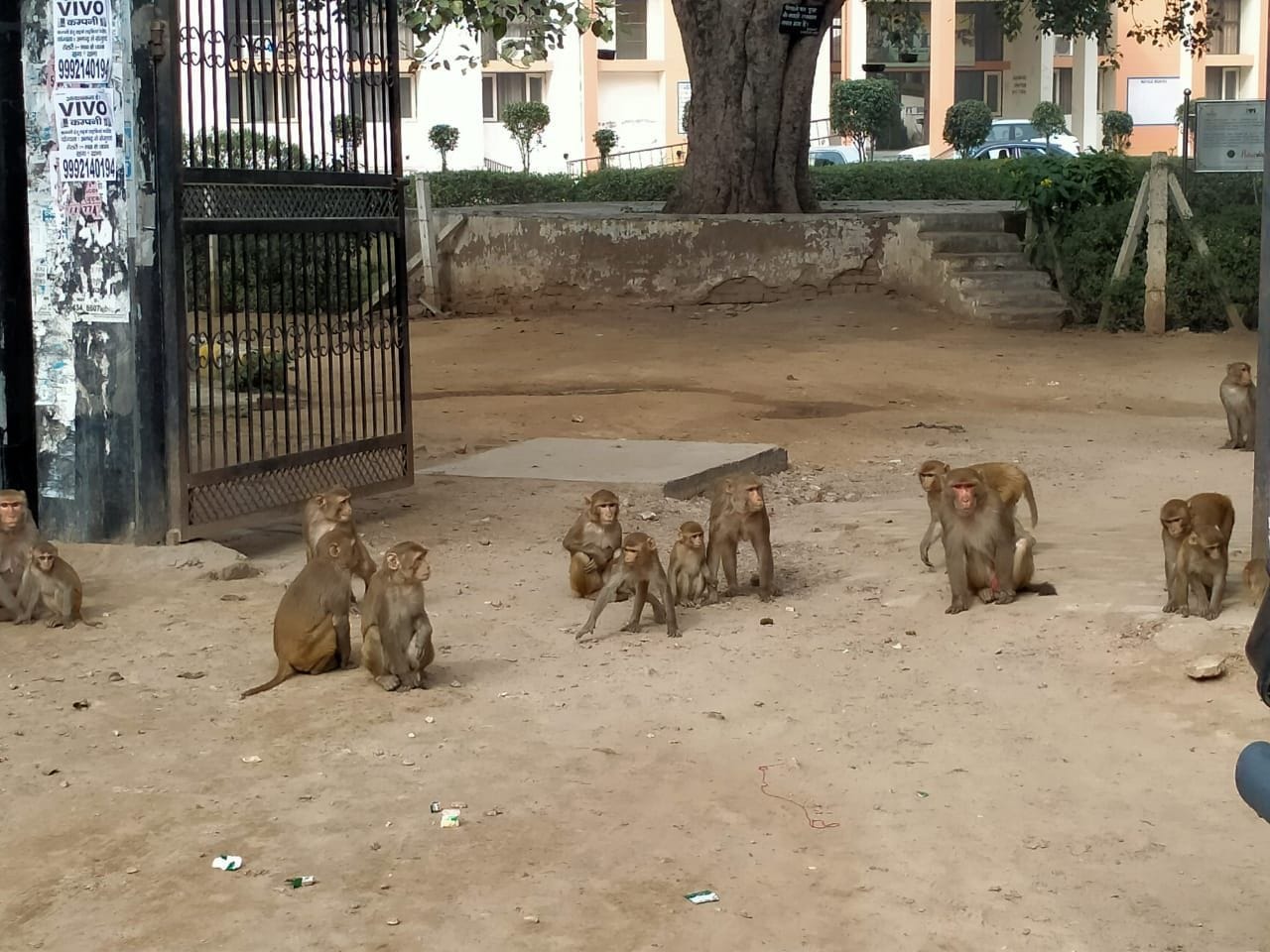 फोटो संख्या:60- योगेश, वार्ड नंबर पांच, मोहल्ला, नीमडी नीचे