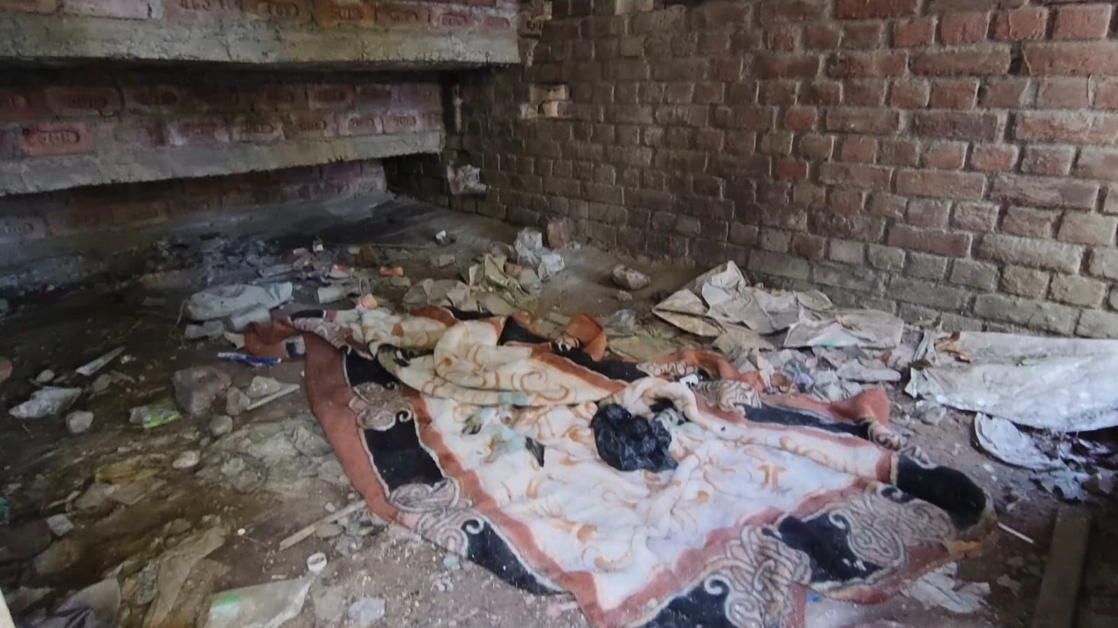 तेजली खेल स्टेडियम में टूटा पड़ा पेड़। तेजली खेल स्टेडियम में टूटा पड़ा पेड़।